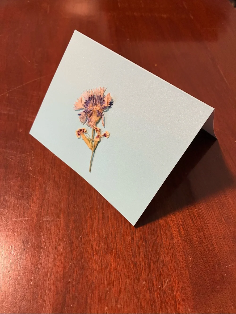 Handmade Pressed Flowers on Blank Note Card - Minimal Botanical Stationery